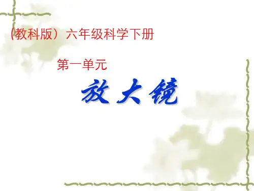 科教版六年级科学下册《放大镜》PPT