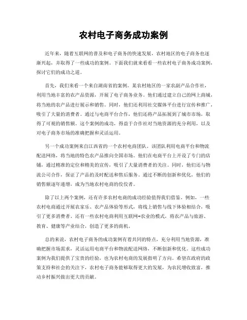 农村电子商务成功案例