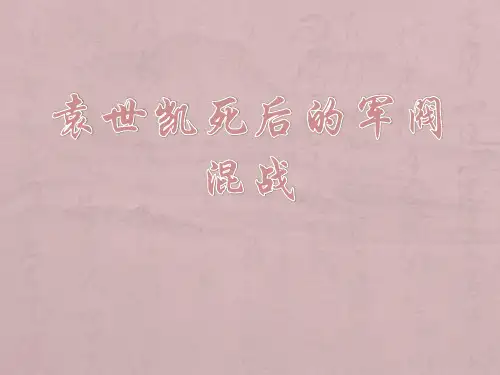 袁世凯死后的军阀混乱
