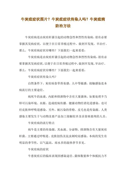 牛炭疽症状图片？牛炭疽症状传染人吗？牛炭疽病防治方法