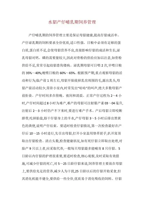 水貂产仔哺乳期饲养管理