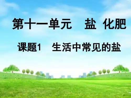 课题1  生活中常见的盐
