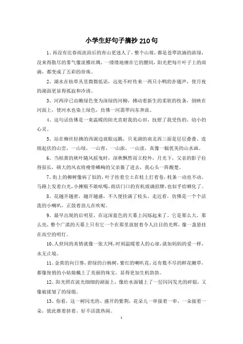 小学生好句子摘抄210句