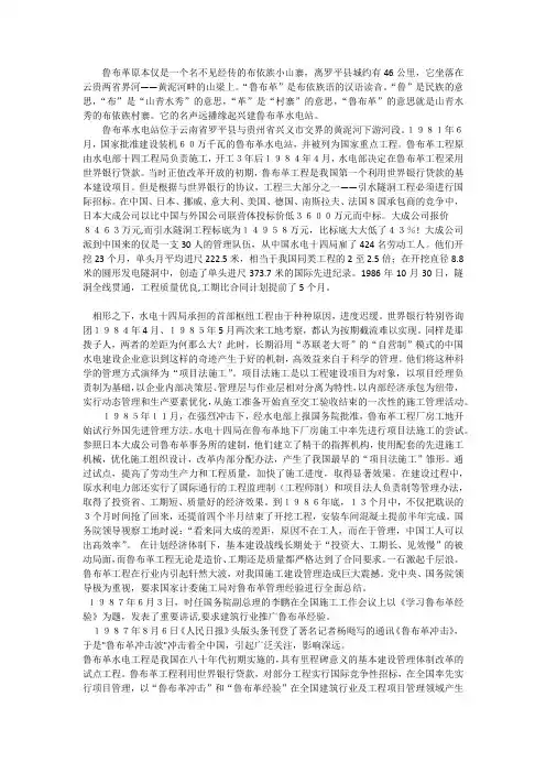 布鲁格水电站项目案例