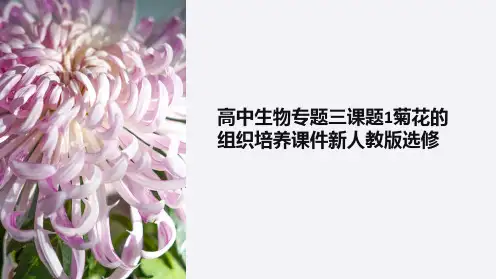高中生物专题三课题1菊花的组织培养课件新人教版选修
