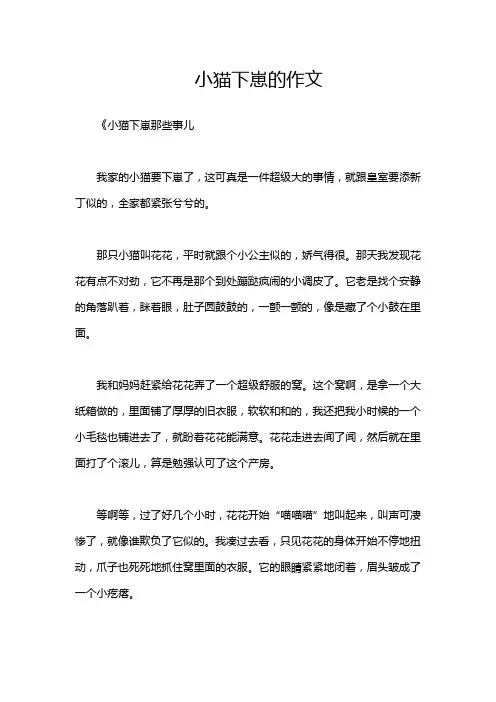 小猫下崽的作文