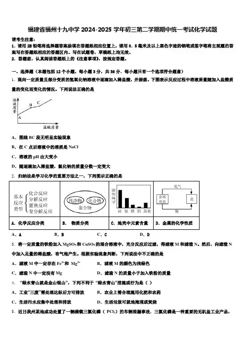 福建省福州十九中学2024-2025学年初三第二学期期中统一考试化学试题含解析