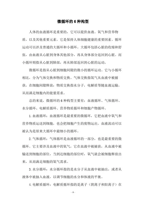 微循环的6种构型