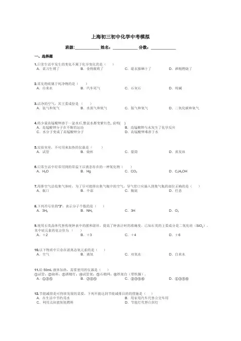 上海初三初中化学中考模拟带答案解析
