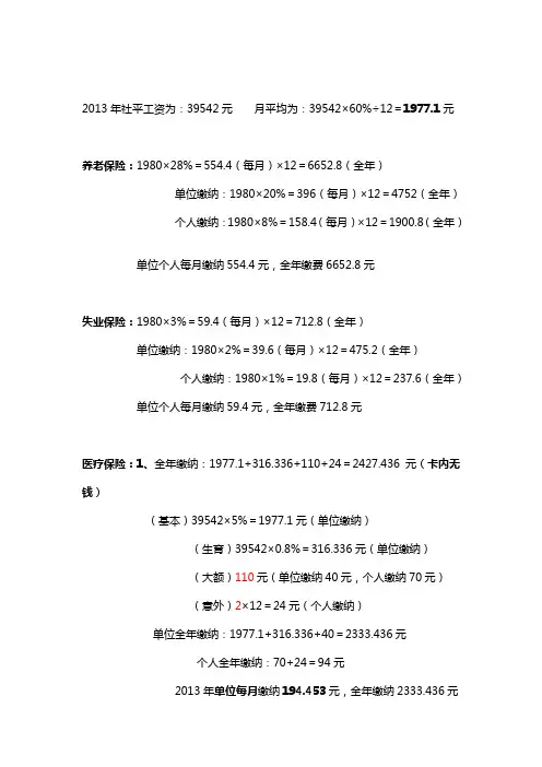 2013年保险缴纳 2