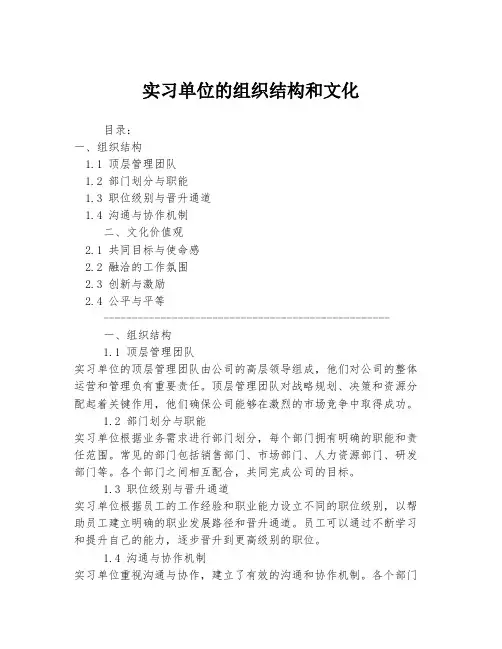 实习单位的组织结构和文化
