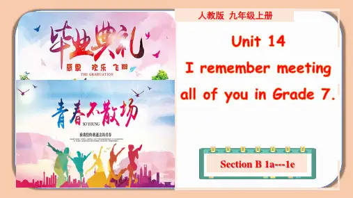 Unit14 Section B(1a-1e)九年级全册英语课件(人教版)