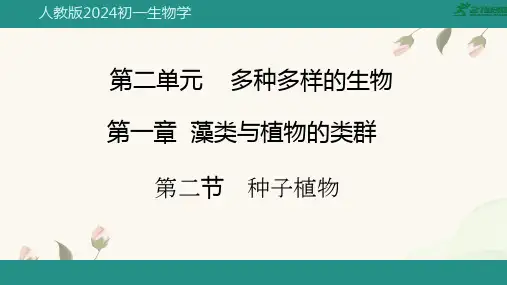 人教版七年级生物上册2.1.2《种子植物》课件(共28张PPT)+视频素材.ppt