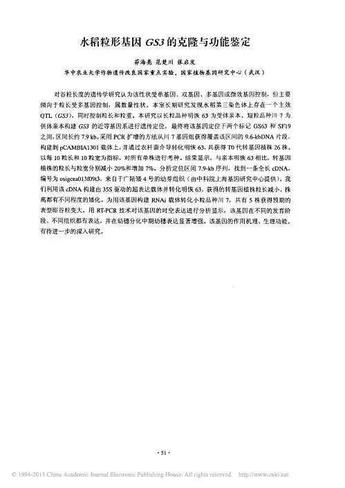 水稻粒形基因GS3的克隆与功能鉴定_茆海亮