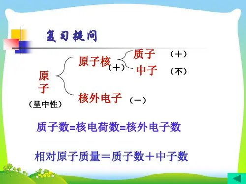 【最新】人教九年级化学上册第三单元 课题3 元 素(共31张PPT).ppt