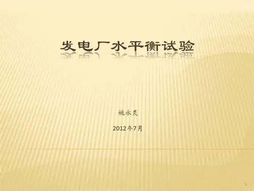 发电厂水平衡试验