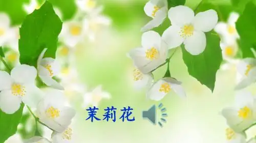 人教部编版六年级语文上册第4课《花之歌》 课件