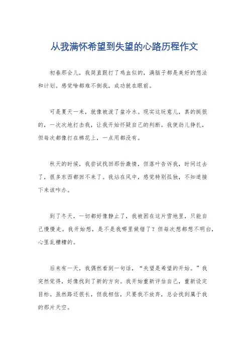 从我满怀希望到失望的心路历程作文