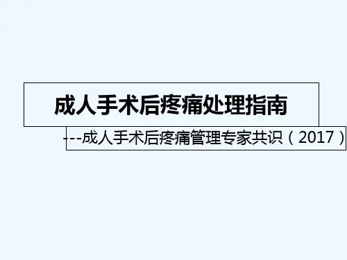 成人手术后疼痛处理指南 PPT