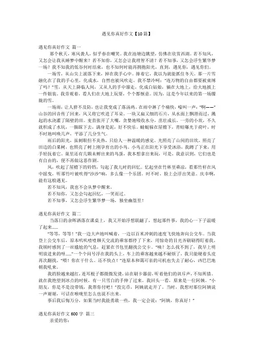 遇见你真好作文【10篇】