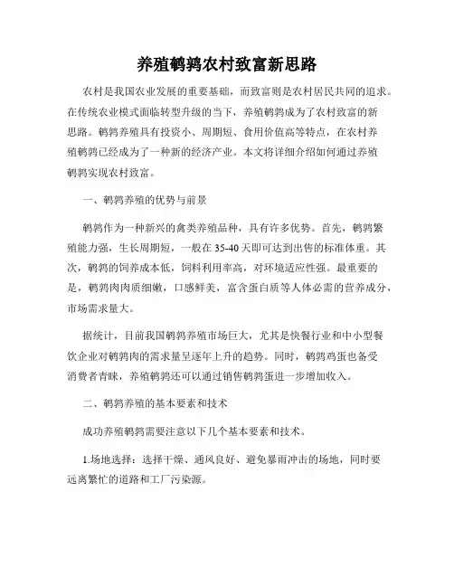 养殖鹌鹑农村致富新思路