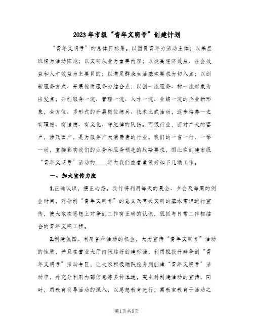 2023年市级“青年文明号”创建计划(2篇)