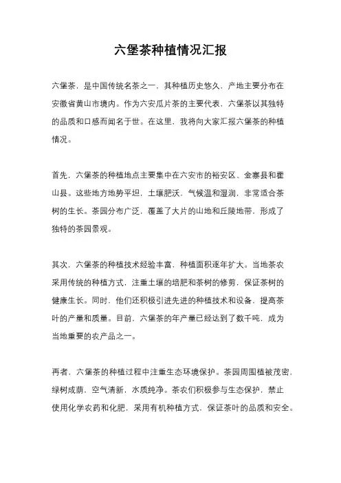 六堡茶种植情况汇报