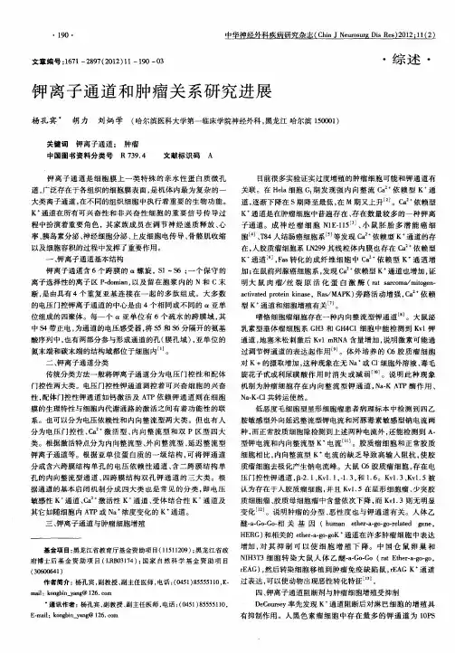 钾离子通道和肿瘤关系研究进展
