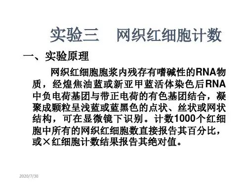 网织红细胞计数