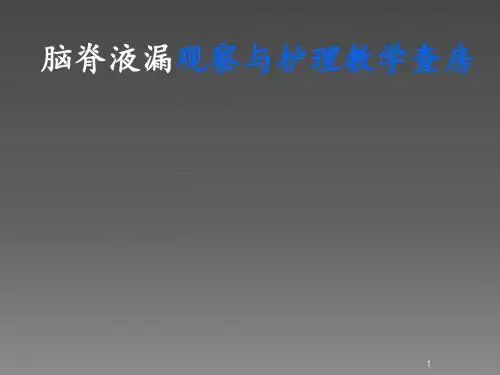 脑脊液漏护理查房PPT课件