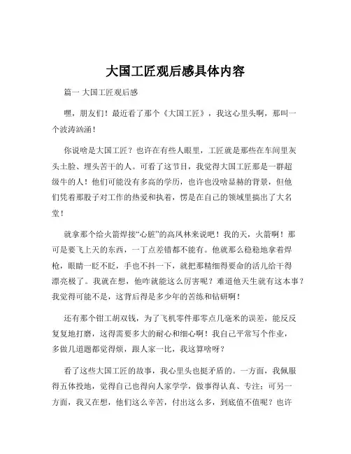 大国工匠观后感具体内容