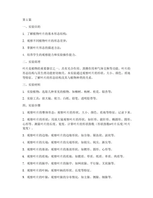 叶的形态实验报告(3篇)