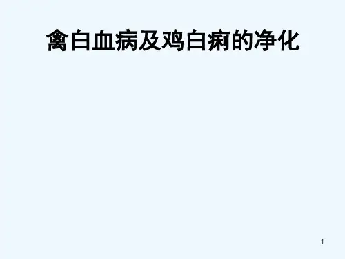 禽白血病及鸡白痢净化