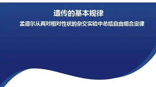 1.2孟德尔从两对相对性状的杂交实验中总结出自由组合定律年高一下学期浙科版2019必修2