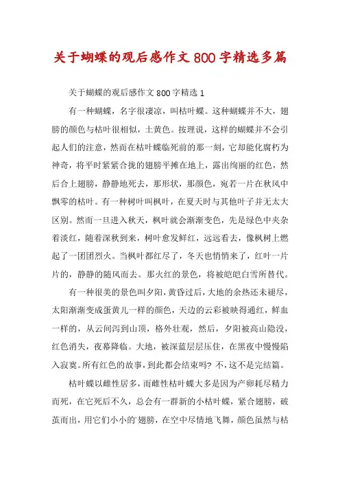关于蝴蝶的观后感作文800字精选多篇
