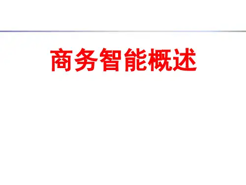 合肥工业大学商务智能概述课件