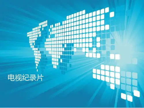 电视纪录片分析PPT课件