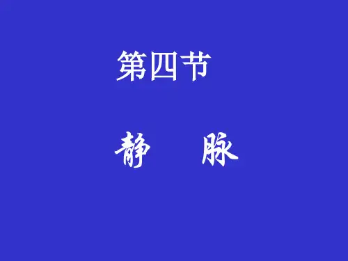 静脉(系统解剖学)