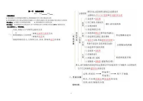 有丝分裂 学案