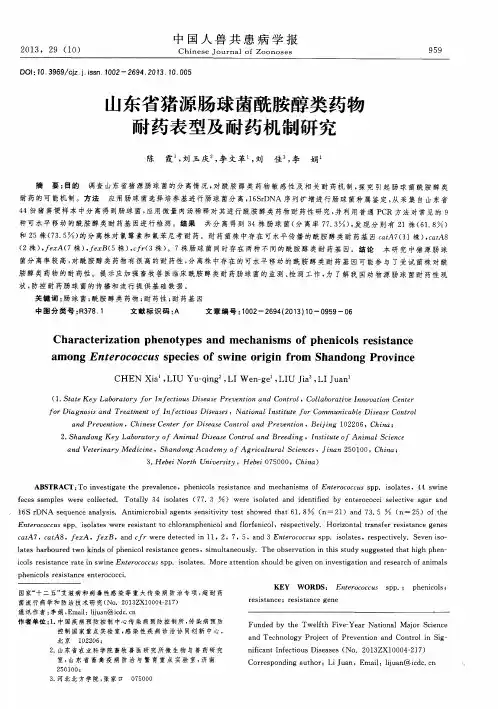 山东省猪源肠球菌酰胺醇类药物耐药表型及耐药机制研究