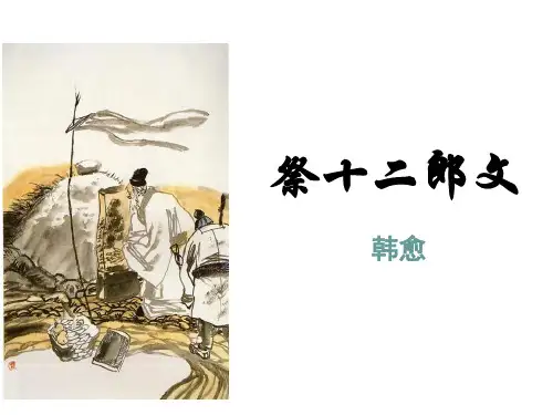 祭十二郎文-优秀实用课件