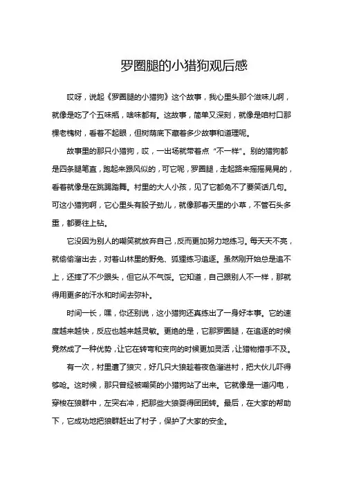 罗圈腿的小猎狗观后感