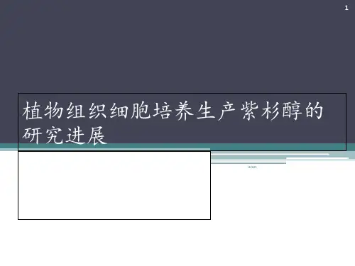 植物组织细胞培养生产紫杉醇的研究进展PPT课件