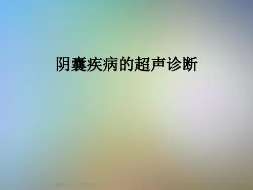 阴囊疾病的超声诊断