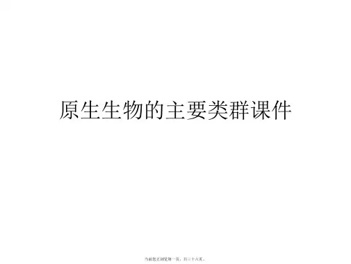 原生生物的主要类群课件