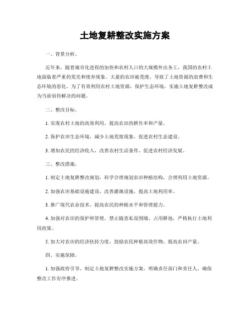 土地复耕整改实施方案