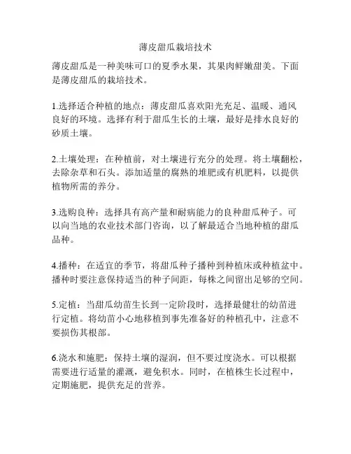 薄皮甜瓜栽培技术