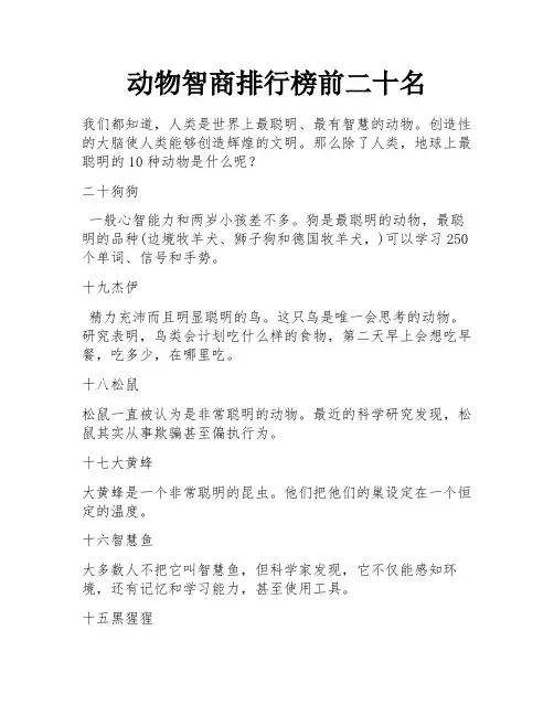 动物智商排行榜前二十名