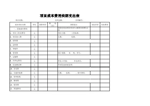 项目成本费用--实际支出表格