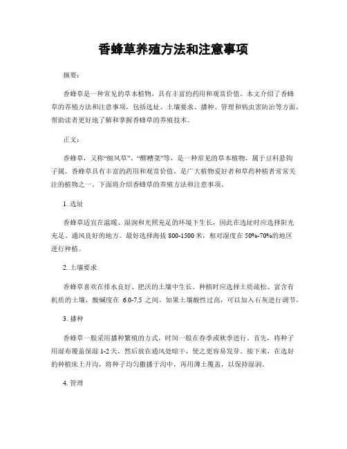 香蜂草养殖方法和注意事项